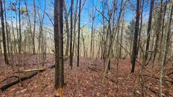0 Crockett (1.86 Acres) Pointe #Lot 561, Jasper, TN 37347