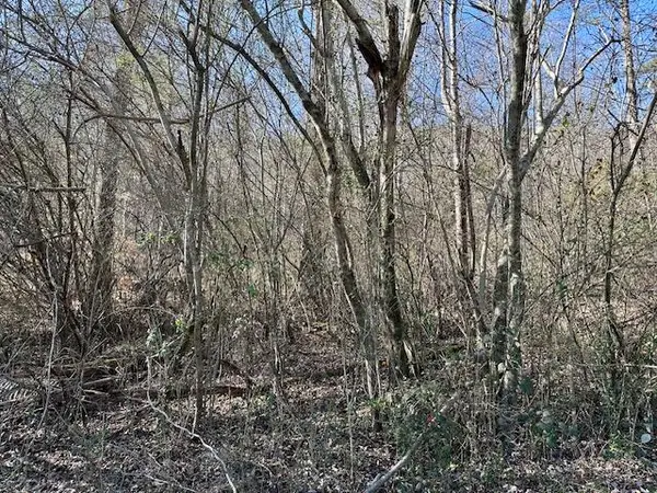 11439 Higdon Street, Soddy Daisy, TN 37379