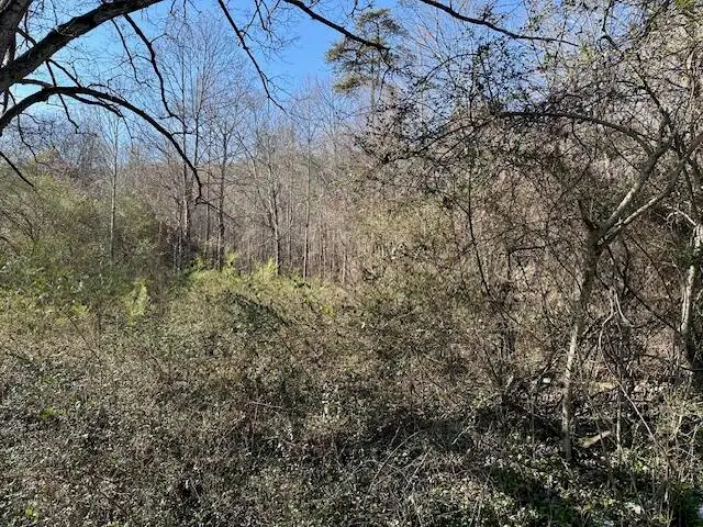 11439 Higdon Street, Soddy Daisy, TN 37379 - Image #2