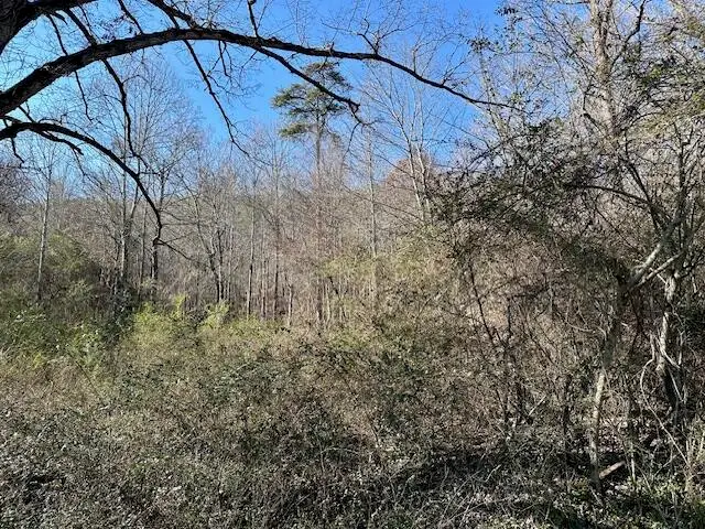 11439 Higdon Street, Soddy Daisy, TN 37379 - Image #3