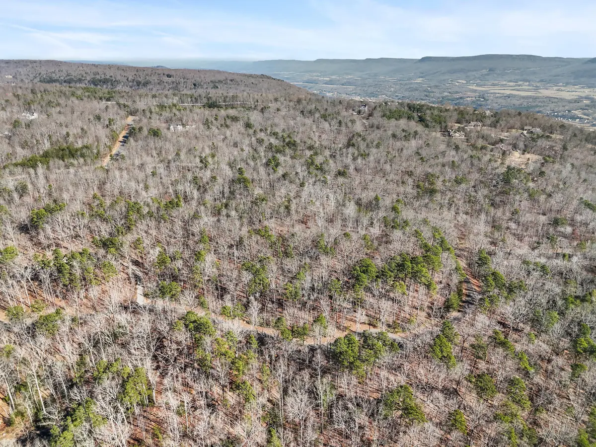 0 Tall Tree Trail #406, Dunlap, TN 37327 - Image #1