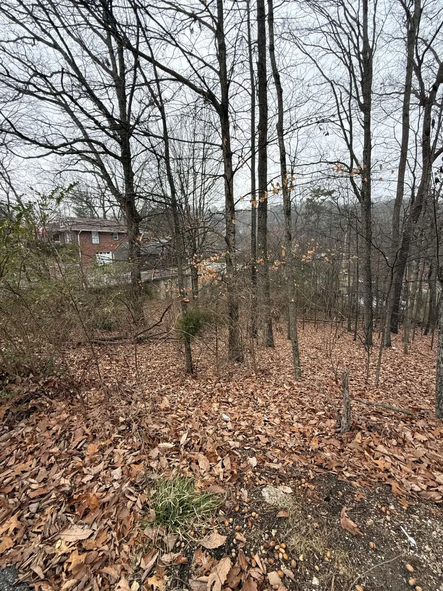 0 Wynnwood Road, Chattanooga, TN 37412 - Image #3