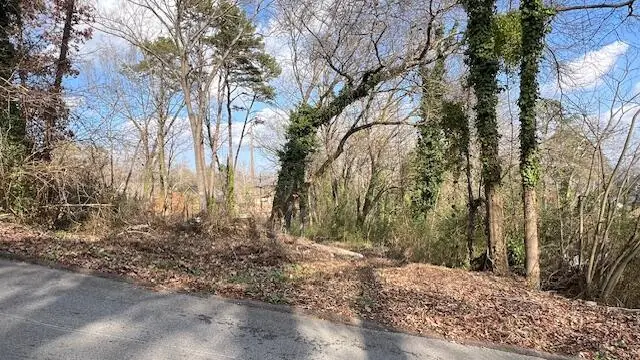 3977 Blanchard Street, Chattanooga, TN 37411 - Image #2