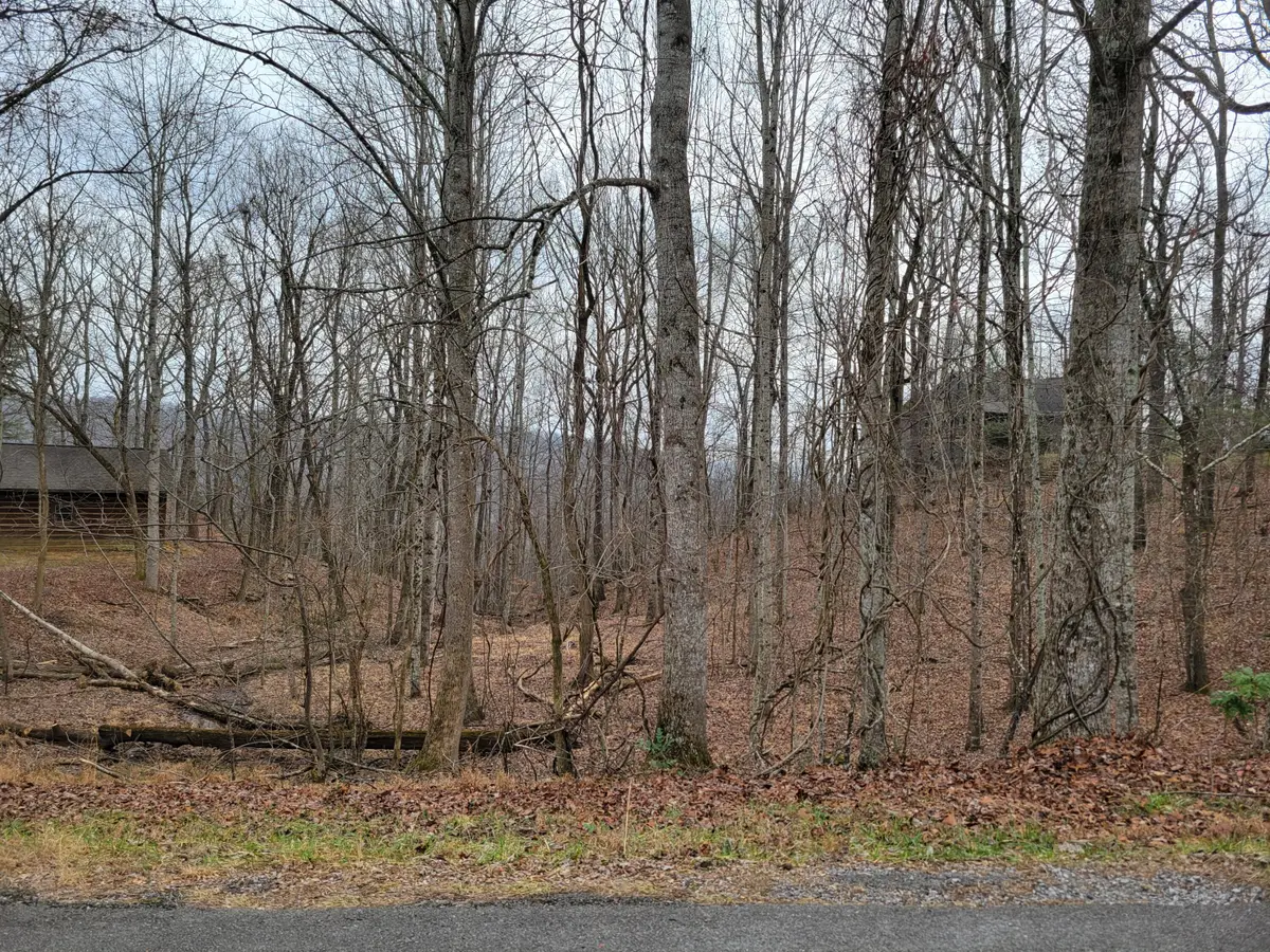 23 Laurel Lake Drive #Lot 23, Monteagle, TN 37356 - Image #1