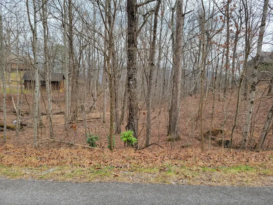 23 Laurel Lake Drive #Lot 23, Monteagle, TN 37356 - Image #2