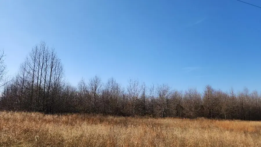 805 Joe Grove Road, Pikeville, TN 37367 - Image #3