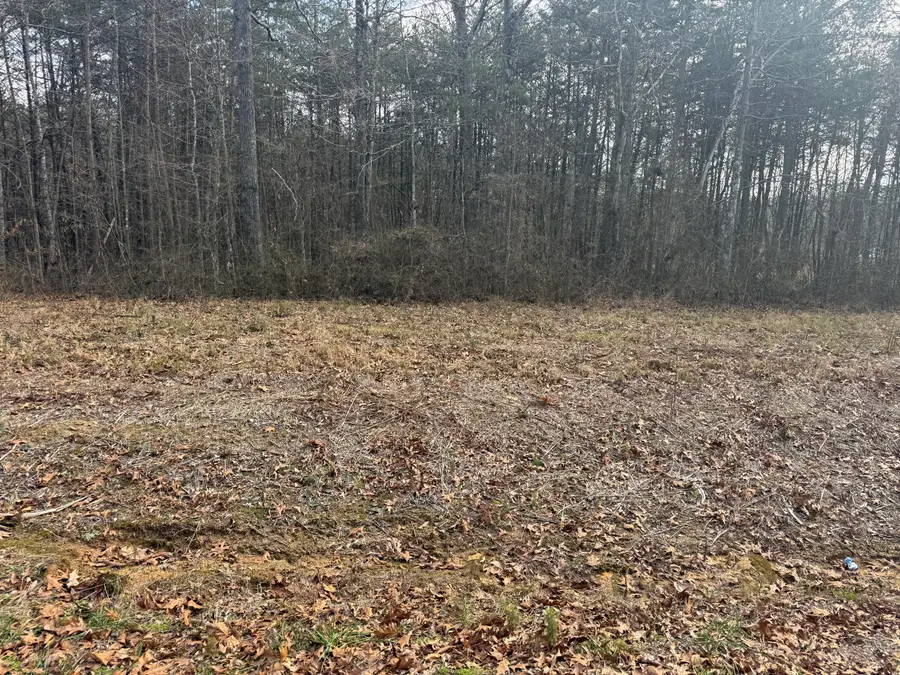 01 County Road #267, Lot 6, Bryant, AL 35958 - Image #2