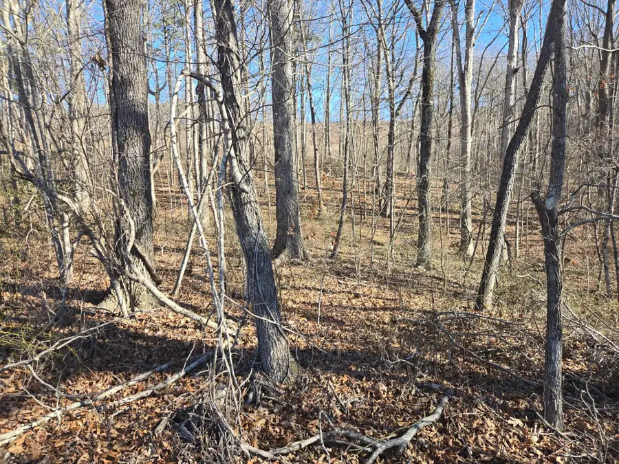 399 Sr Highway, Palmer, TN 37365 - Image #2