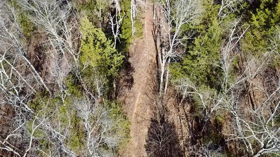 537 Cates Lane Ne, Charleston, TN 37310 - Image #3