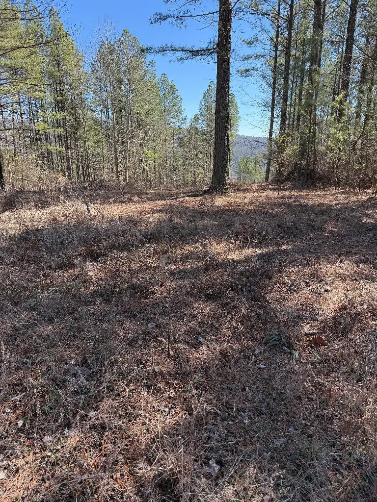 3970 Split Rail Way #Lot 1375, Guild, TN 37340 - Image #2