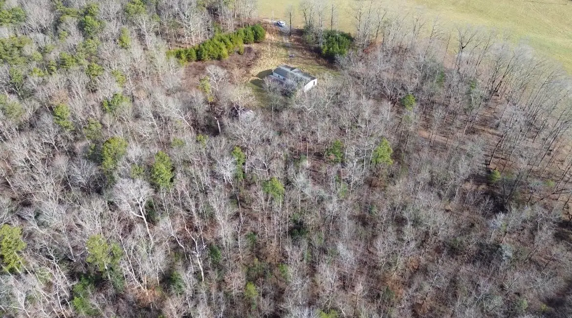 767 Wichser Road, Gruetli Laager, TN 37339 - Image #1