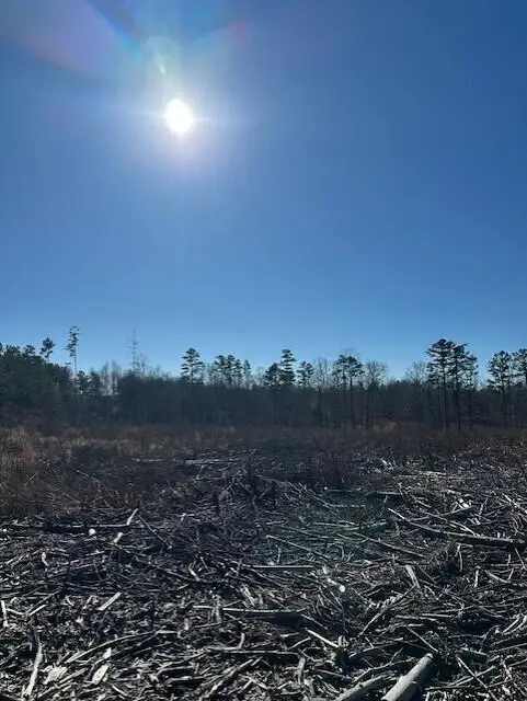 Tract 1 50th Avenue #Tract 1, Gruetli Laager, TN 37339