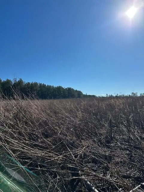 Tract 3 50th Avenue #Tract 3, Gruetli Laager, TN 37339