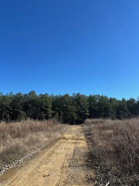 Tract 3 50th Avenue #Tract 3, Gruetli Laager, TN 37339 - #3