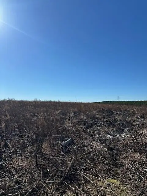 Tract 4 50th Avenue #Tract 4, Gruetli Laager, TN 37339 - #1