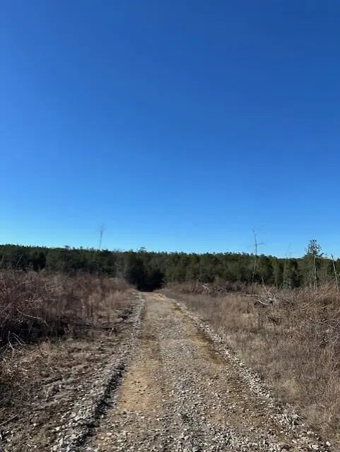 Tract 4 50th Avenue #Tract 4, Gruetli Laager, TN 37339 - #3