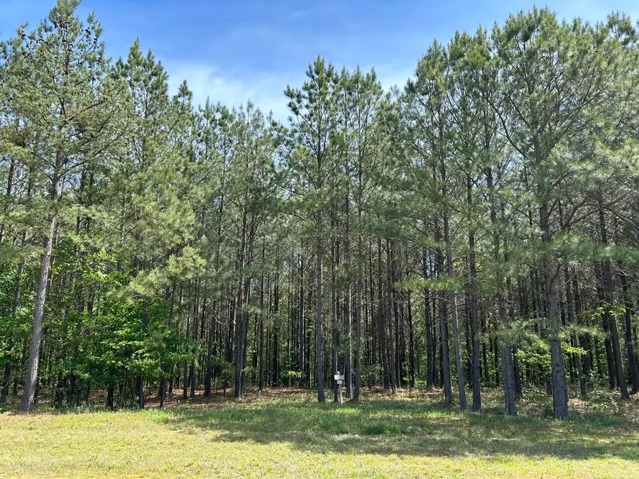 250 Bear Trace Drive #Rb-200, Jasper, TN 37347 - Image #2