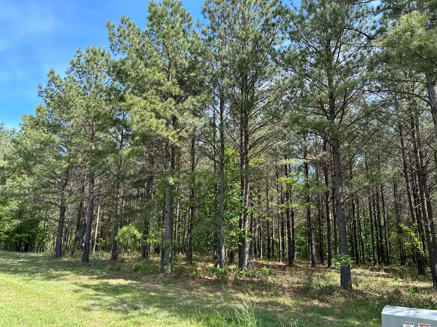 250 Bear Trace Drive #Rb-200, Jasper, TN 37347 - Image #3