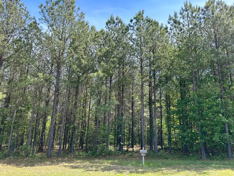 290 Bear Trace Drive #Rb-201, Jasper, TN 37347 - Image #3