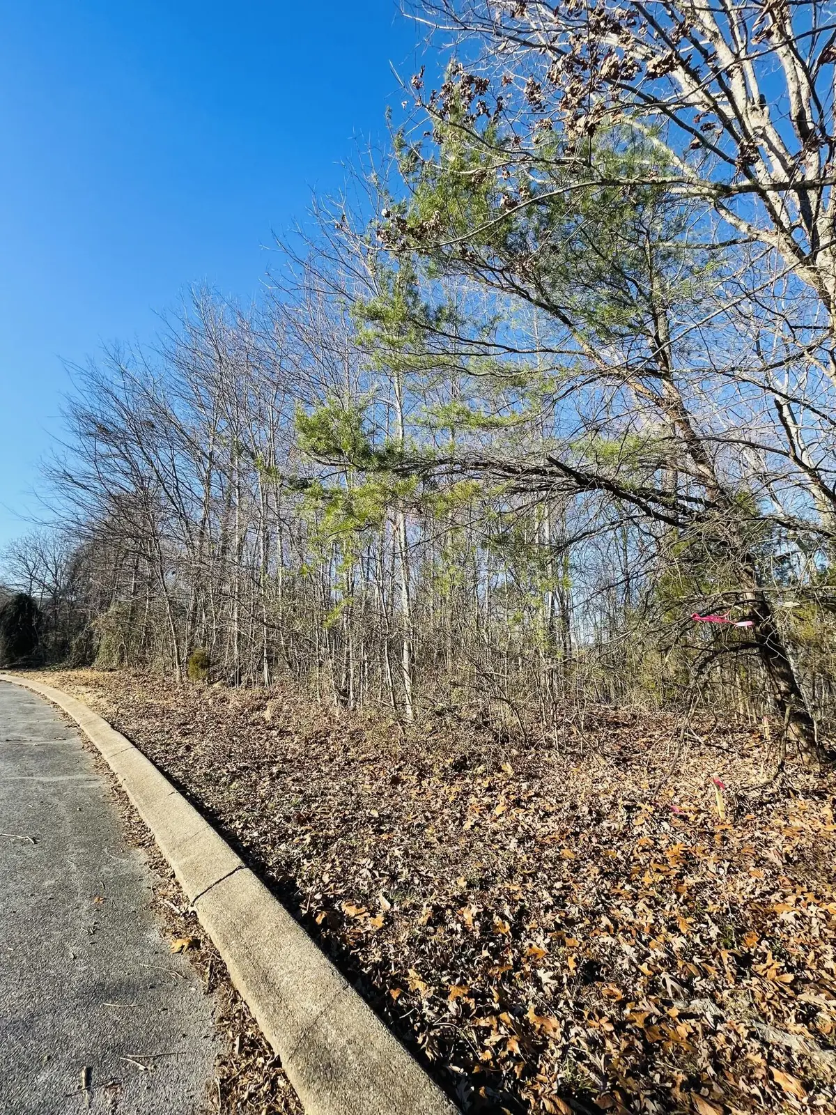 191 Baptist View Drive, Soddy Daisy, TN 37379 - Image #1