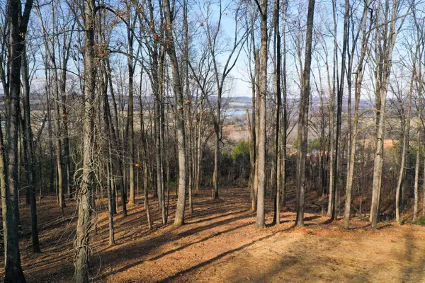 00 Lot 10 Poplar Drive, Sweetwater, TN 37874