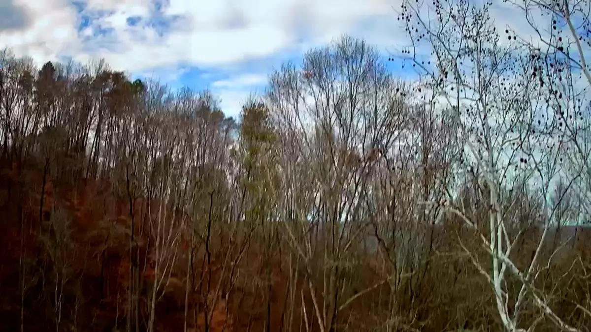 8813 Gann Road #5, Soddy Daisy, TN 37379 - Image #1