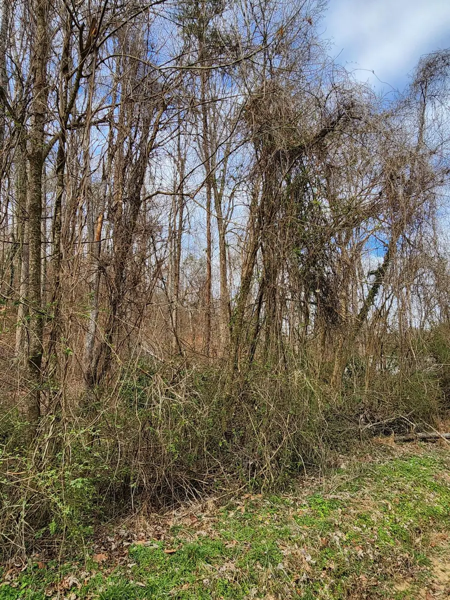 8819 Gann Road #2, Soddy Daisy, TN 37379 - Image #3