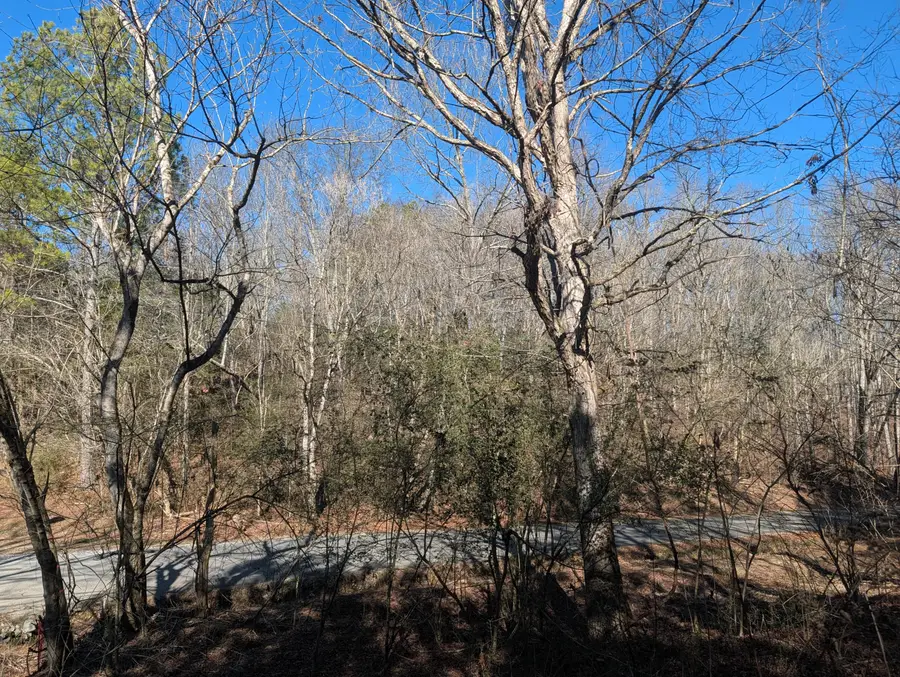 1902 Horner Hollow Road, Birchwood, TN 37308 - Image #3