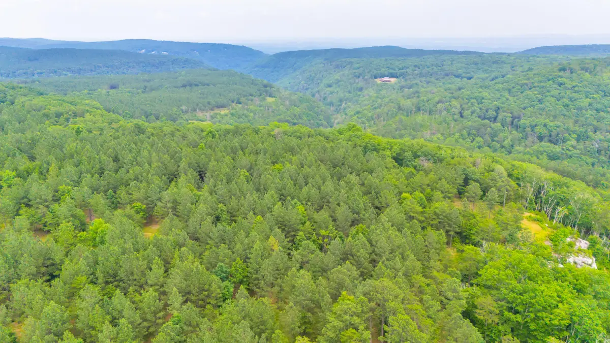 0 Worley Road #Lot 11, Soddy Daisy, TN 37379 - Image #1