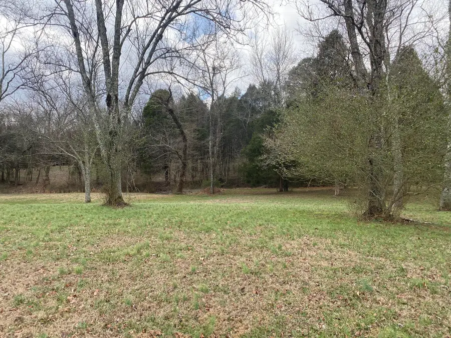 266 Lenore Lane, Spring City, TN 37381 - #2