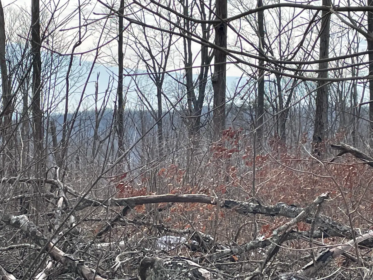 00 Blue Berry Road, Pikeville, TN 37367 - #1