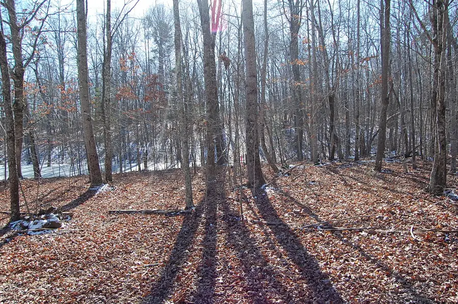 340 Bluff View Drive, Dunlap, TN 37327 - Image #2