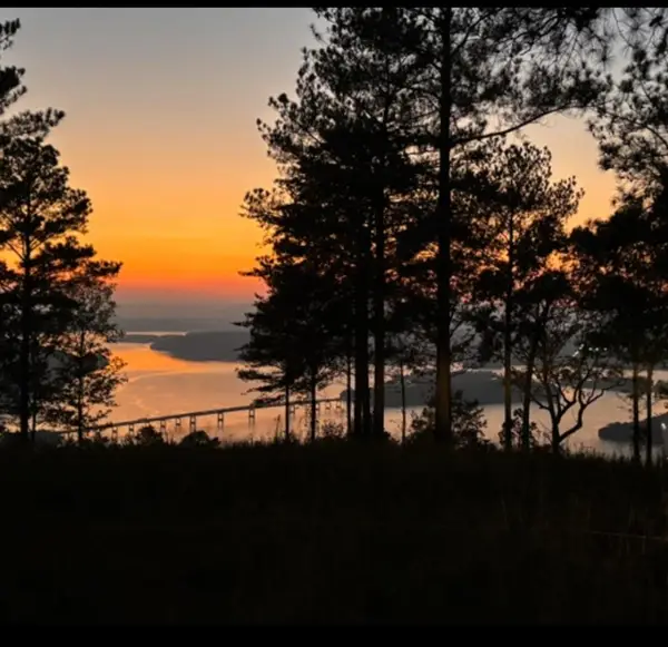 1155 Buck Crossing Drive #1017, Guild, TN 37340