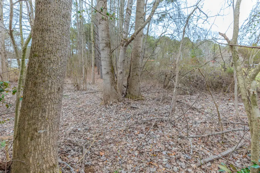 0 NE Keith Valley Road, Cohutta, GA 30710 - Image #2