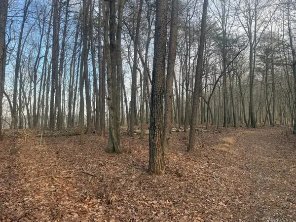 0 Shivas Crest #70b, Rising Fawn, GA 30738