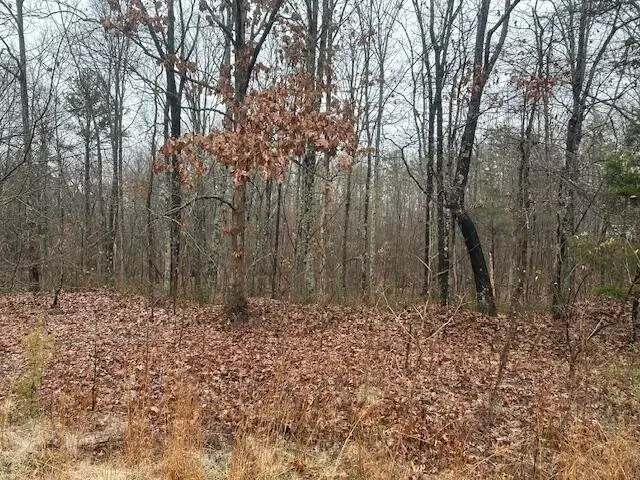 2080 Teludachee Trail #Lot 176, South Pittsburg, TN 37380 - Image #3