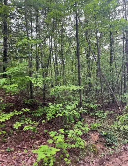 0 Possum Trot Road, Grandview, TN 37337 - #2