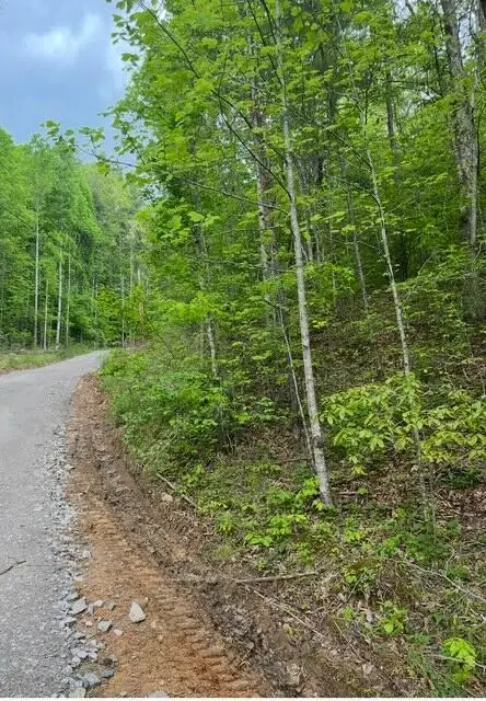 0 Possum Trot Road, Grandview, TN 37337 - #3