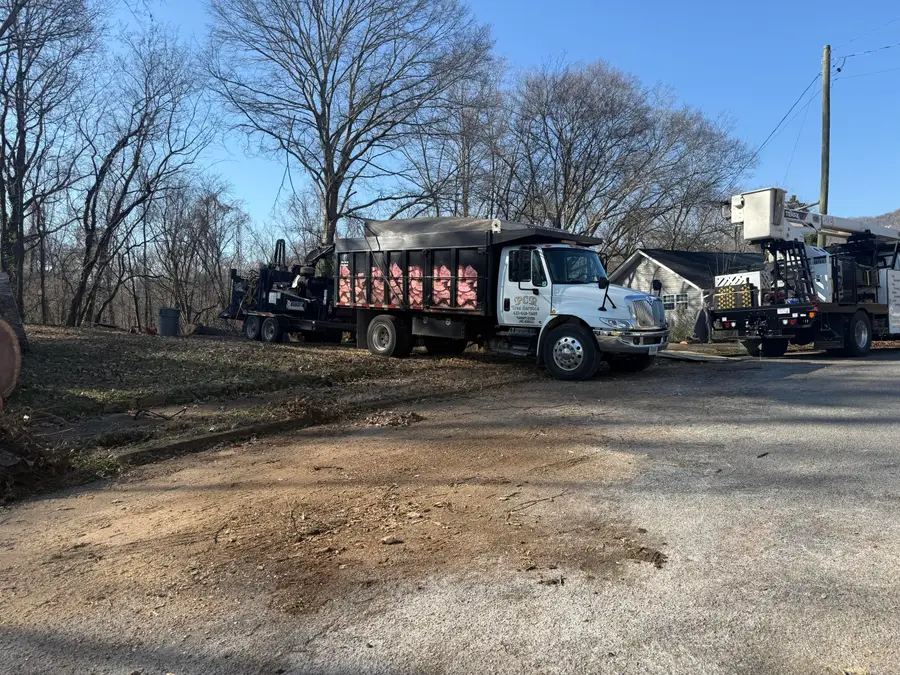 5412 Dorsey Street, Chattanooga, TN 37410 - Image #2