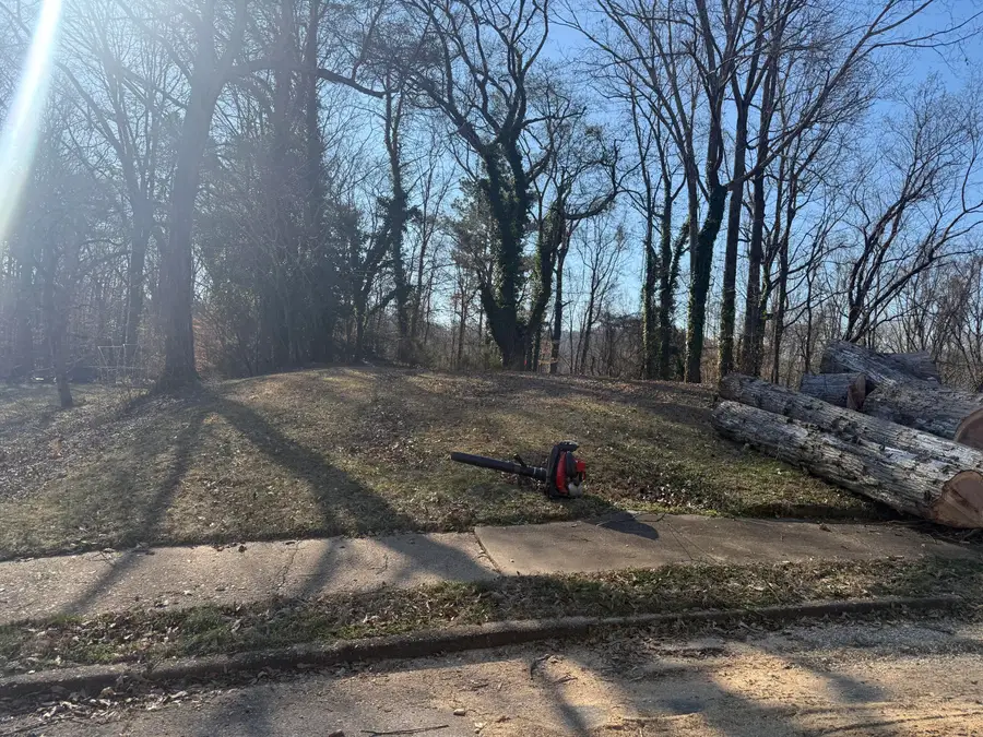 5414 Dorsey Street, Chattanooga, TN 37410 - Image #3