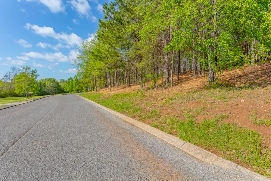 19 Turkey, Flintstone, GA 30725 - Image #2