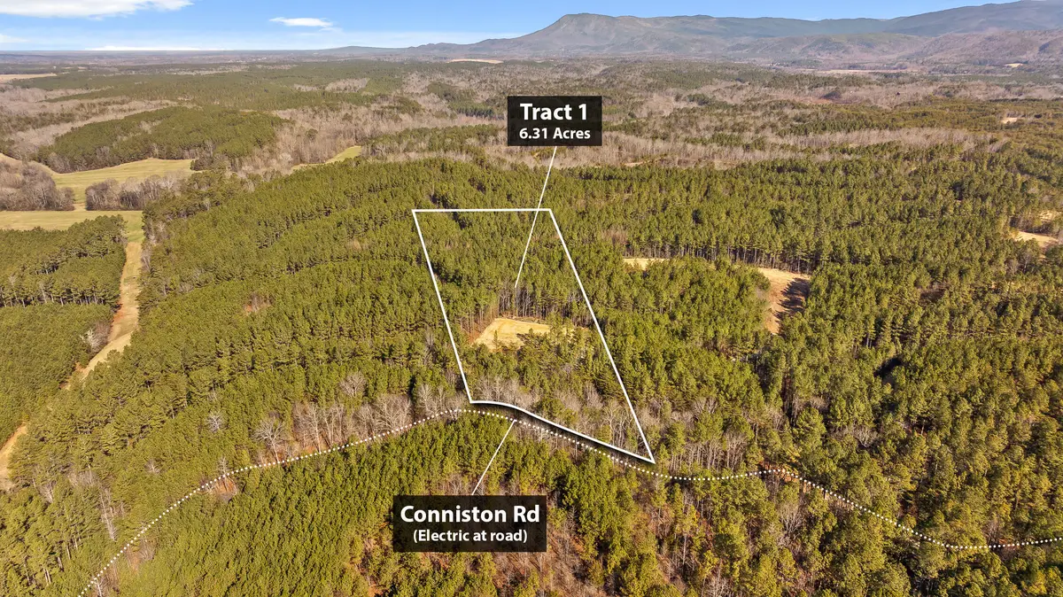 Tract 1 Conniston Road, Chatsworth, GA 30705 - #1