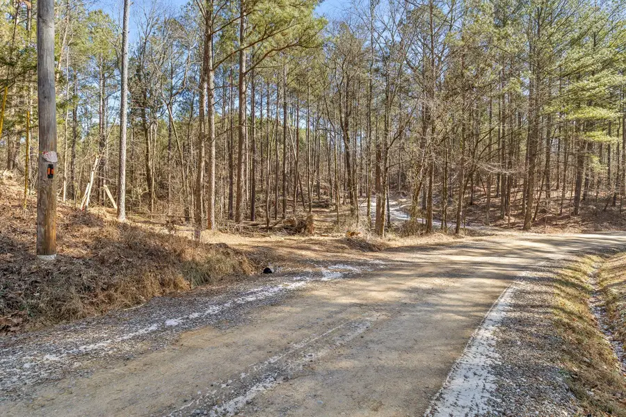 Tract 1 Conniston Road, Chatsworth, GA 30705 - #3