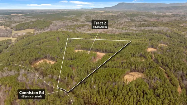 Tract 2 Conniston Road, Chatsworth, GA 30705