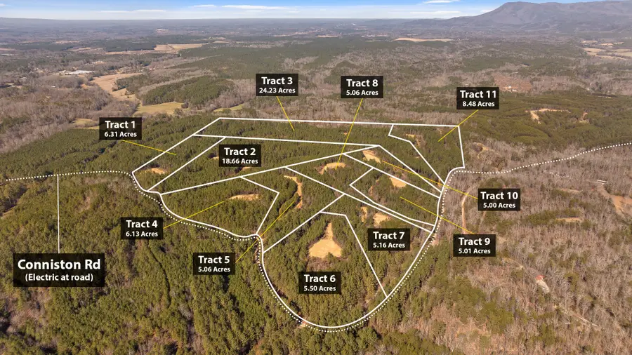 Tract 2 Conniston Road, Chatsworth, GA 30705 - #2