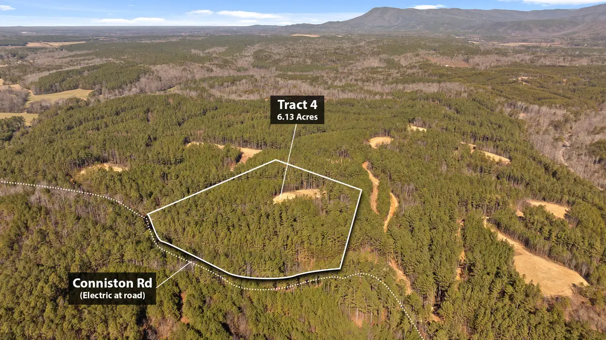 Tract 4 Conniston Road, Chatsworth, GA 30705 - #1