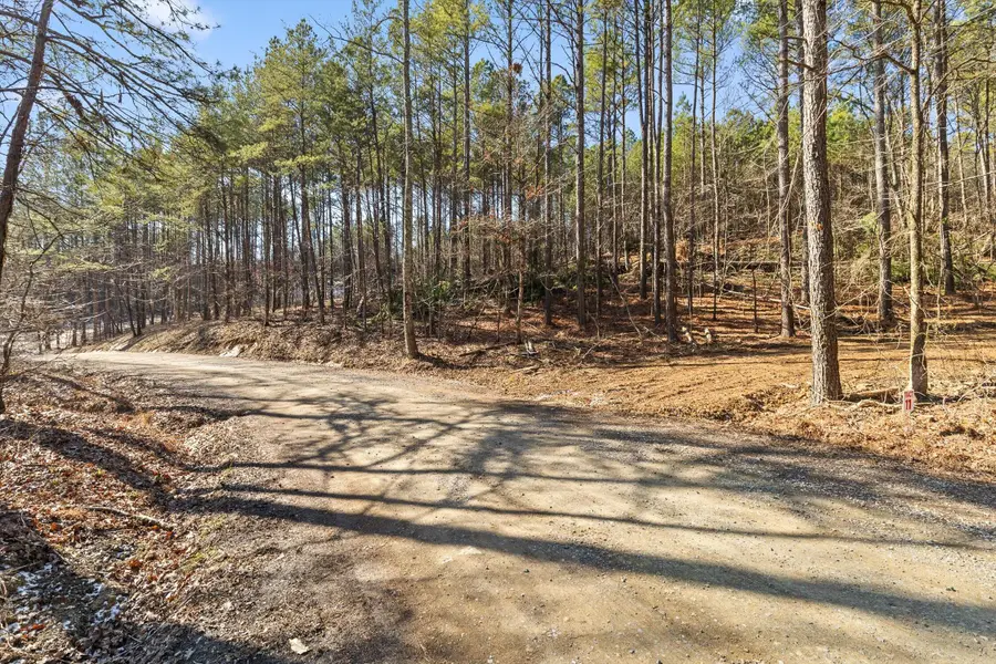 Tract 11 Conniston Road, Chatsworth, GA 30705 - #3