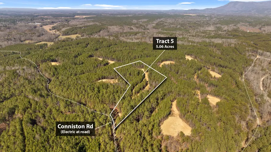 Tr 5-10 Conniston Road, Chatsworth, GA 30705 - #2