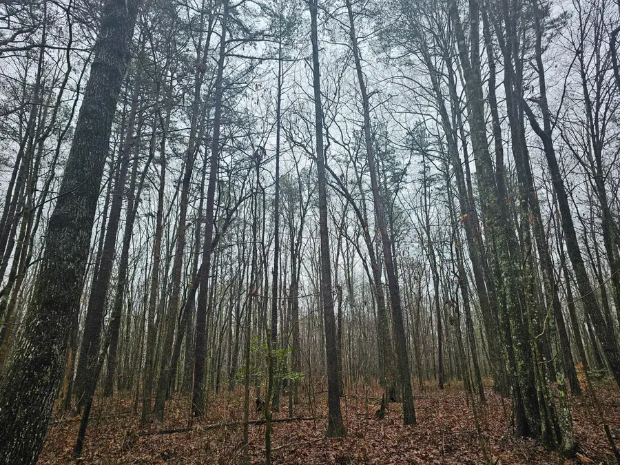 0 Highway 150, Sequatchie, TN 37374 - #2