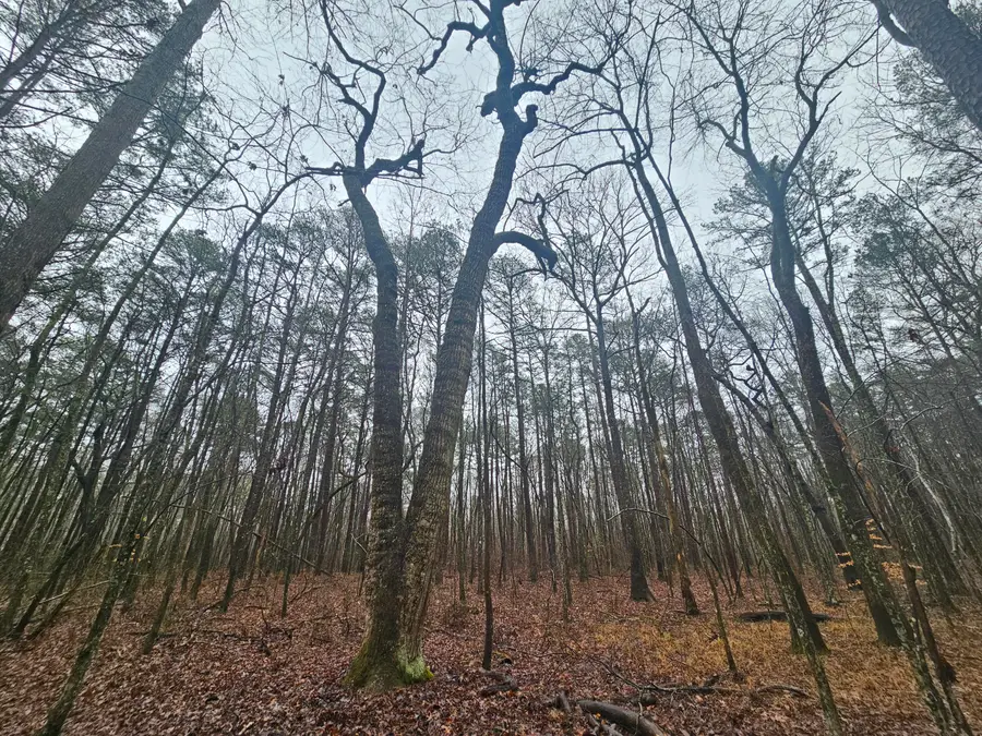 0 Highway 150, Sequatchie, TN 37374 - #3